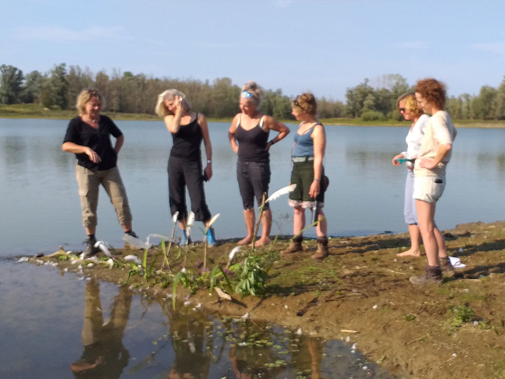 Workshops en Teambuilding